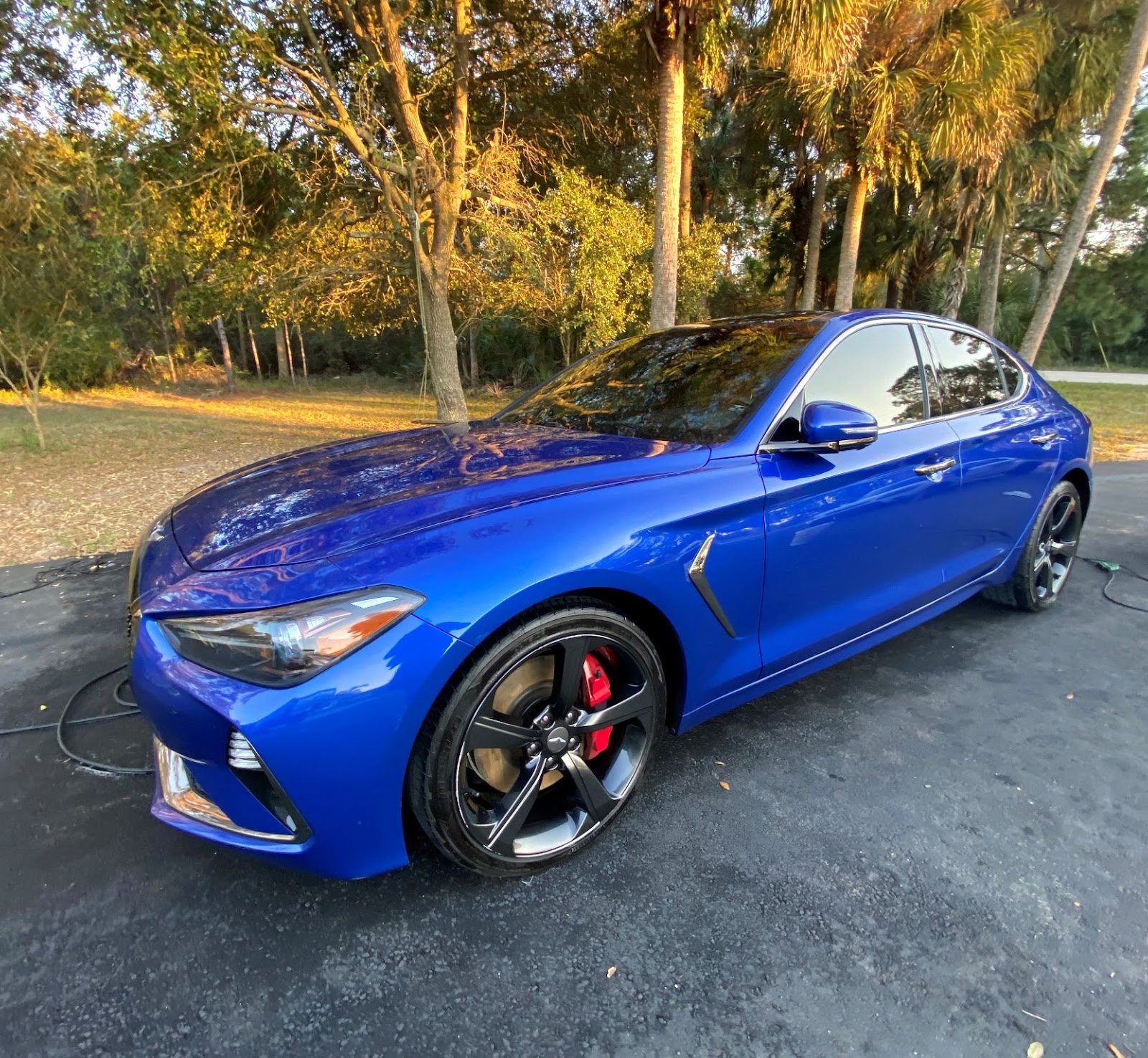 Blue Genesis G70 detailed by Alamo Mobile Detail in a Davenport driveway